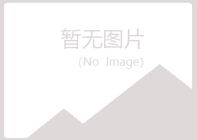 延平区迷失邮政有限公司